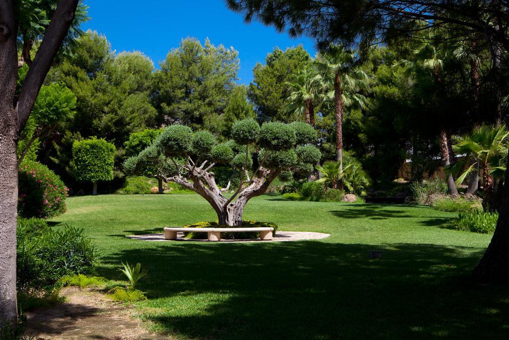 Jardines De Amaltea Hotel Lorca  Exterior photo