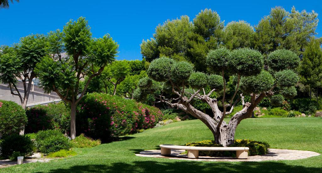 Jardines De Amaltea Hotel Lorca  Exterior photo